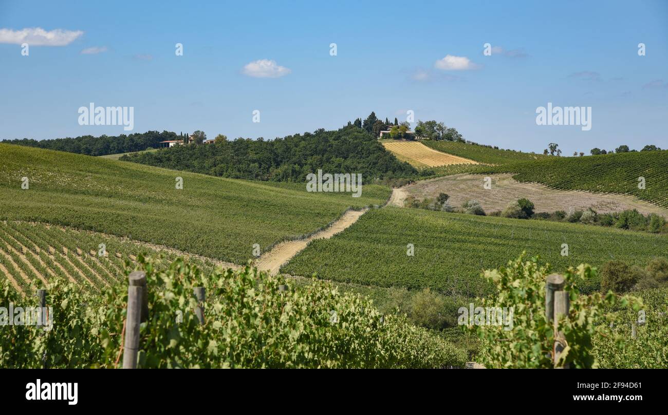 Ein typischer Blick auf die Chianti-Region in der Toskana Stockfoto