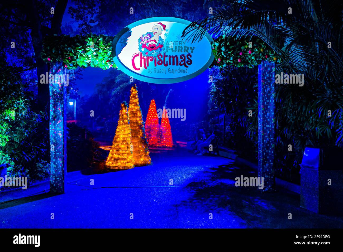 Tampa Bay, Florida. 29. Dezember 2020. Ein sehr furrihes Weihnachtsfest in Busch Gardens (37) Stockfoto