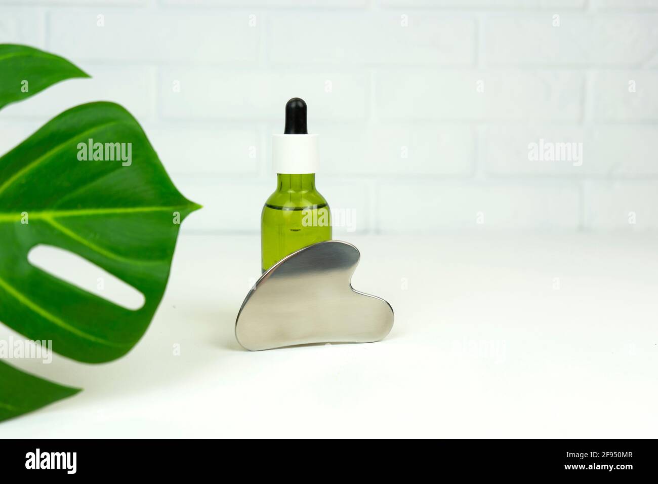 Ein nicht gebrandmarkt grünes CBD-Cannabisöl mit einem Gua Sha Massierende Schabrakelwerkzeug liegen auf einem grünen Blatt von Monstera Stockfoto
