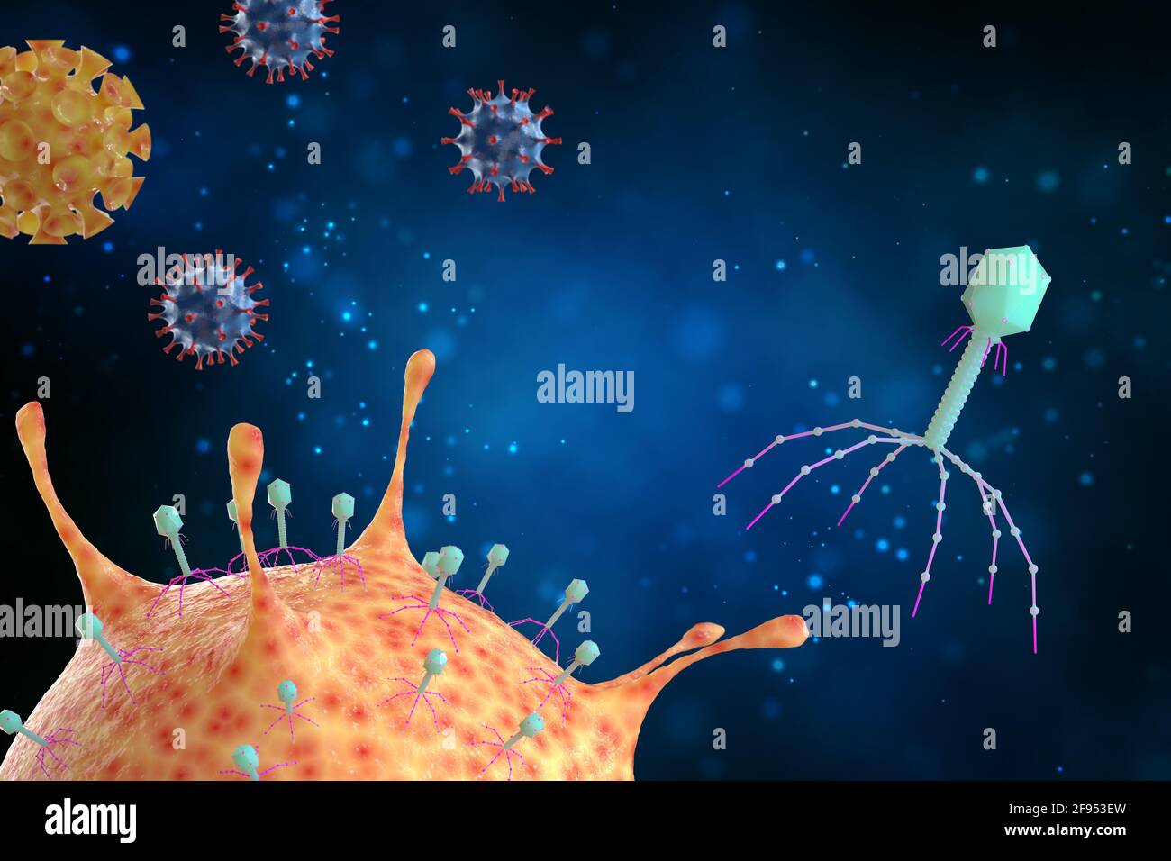 Bakteriophagen Viren greift Bakterien, Infektionskrankheiten, 3d-Illustration. Stockfoto