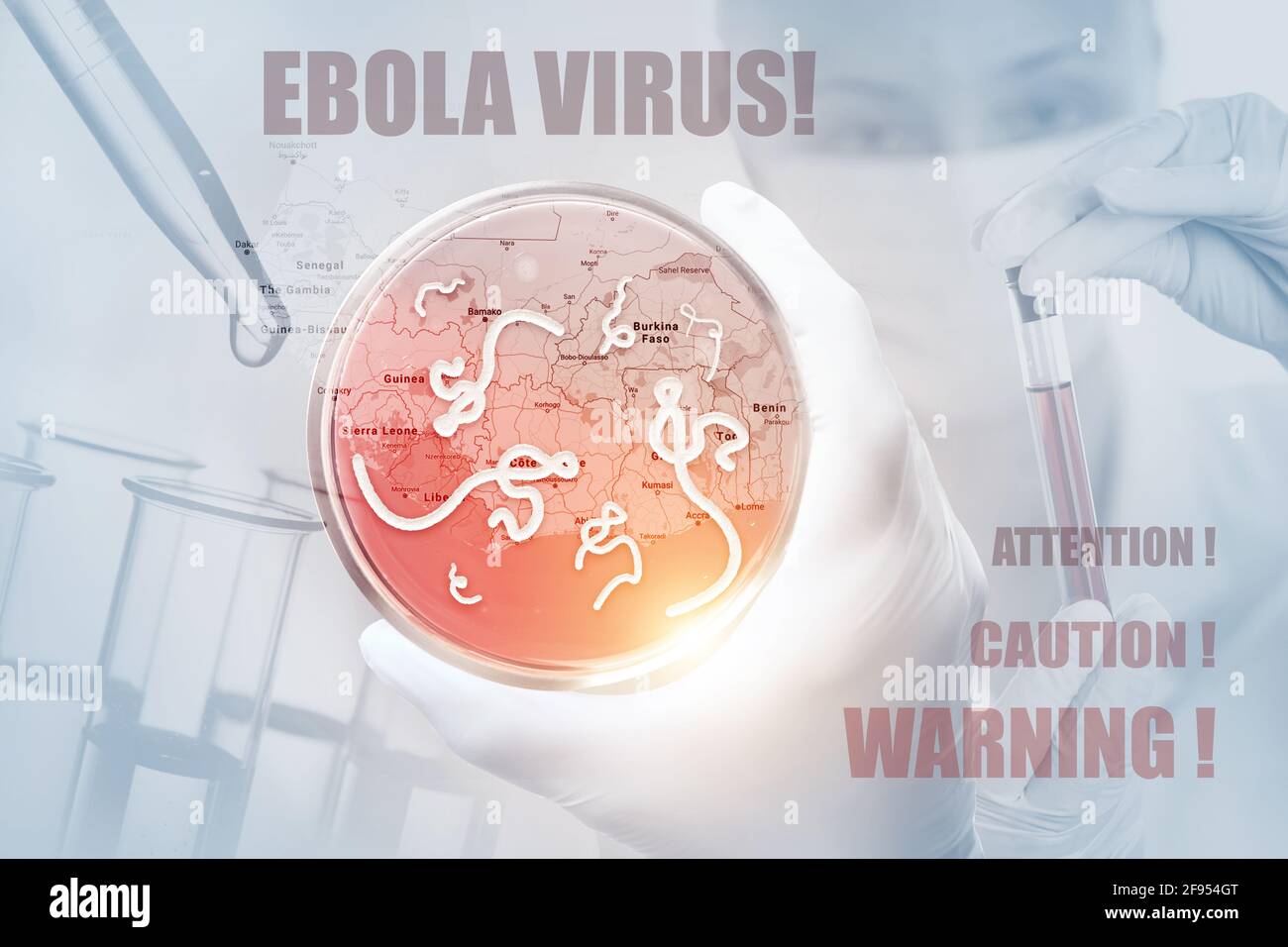 Mikroskopische Ansicht des Ebola-Virus. Medizinisches Konzept. Stockfoto