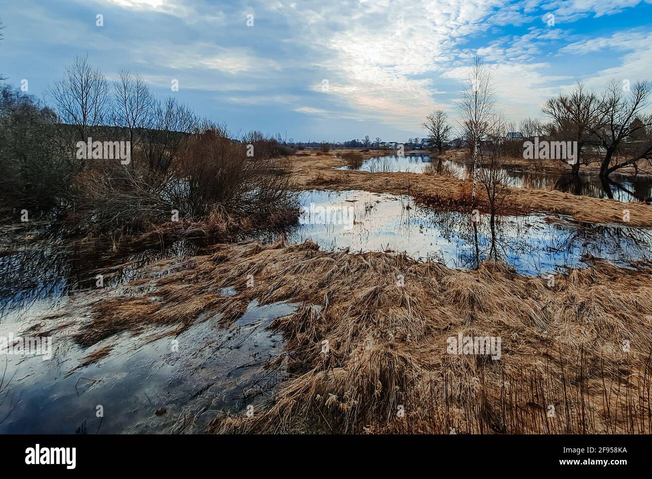 Nördliche Sümpfe im frühen Frühjahr. Öko-Wandern. Ökologischer Tourismus. Das Konzept der Verbindung mit der Natur. Hochwasser, Landschaft. Stockfoto