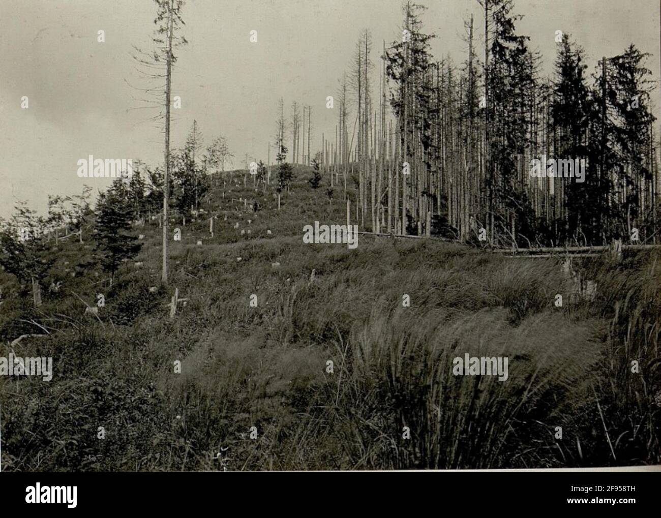 Auf der Höhe der Markowka. Stockfoto