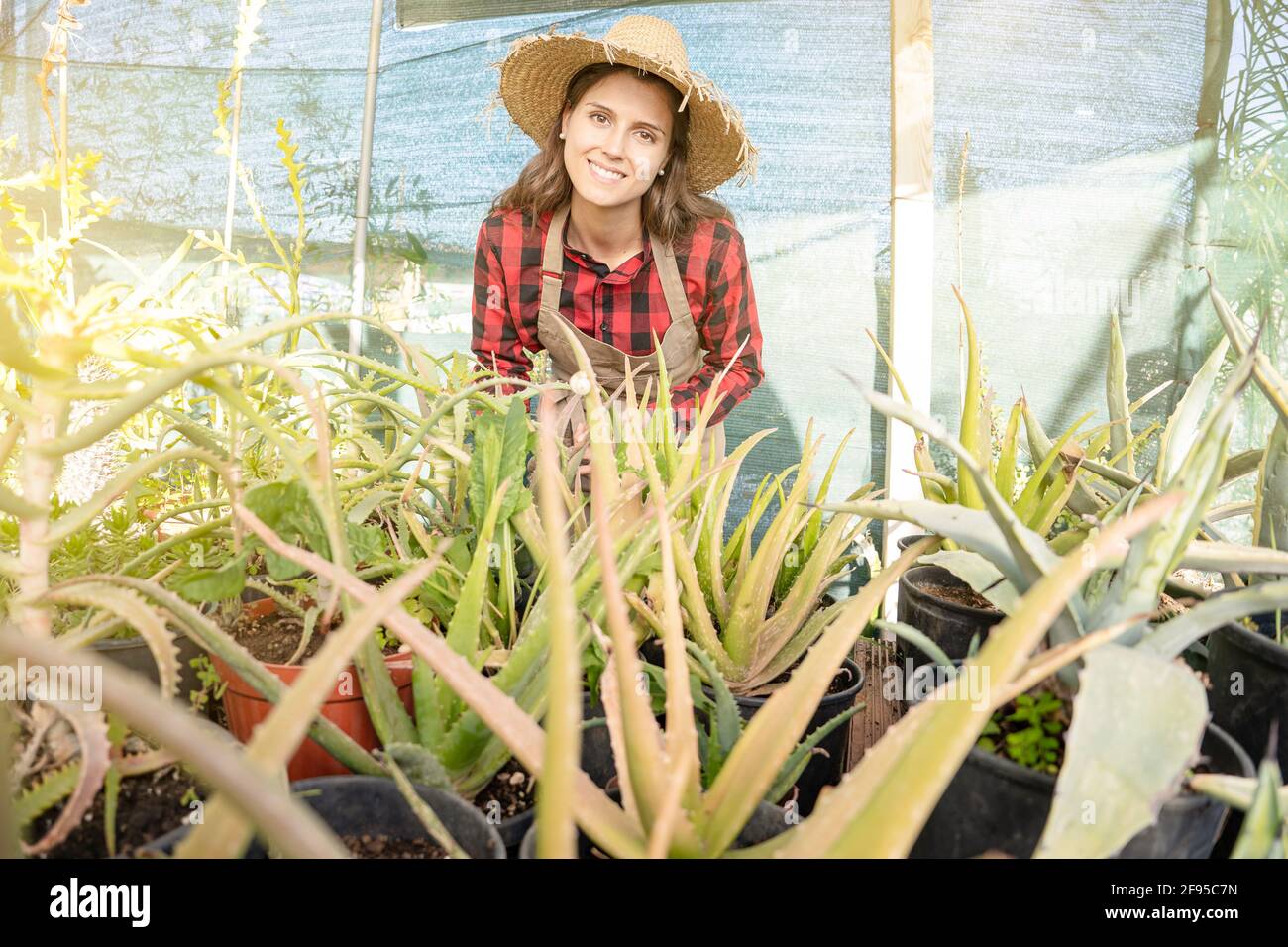 Junge lächelnde Bäuerin mit Strohhut, die ihre Aloe anbaut Sukkulente Pflanze Stockfoto