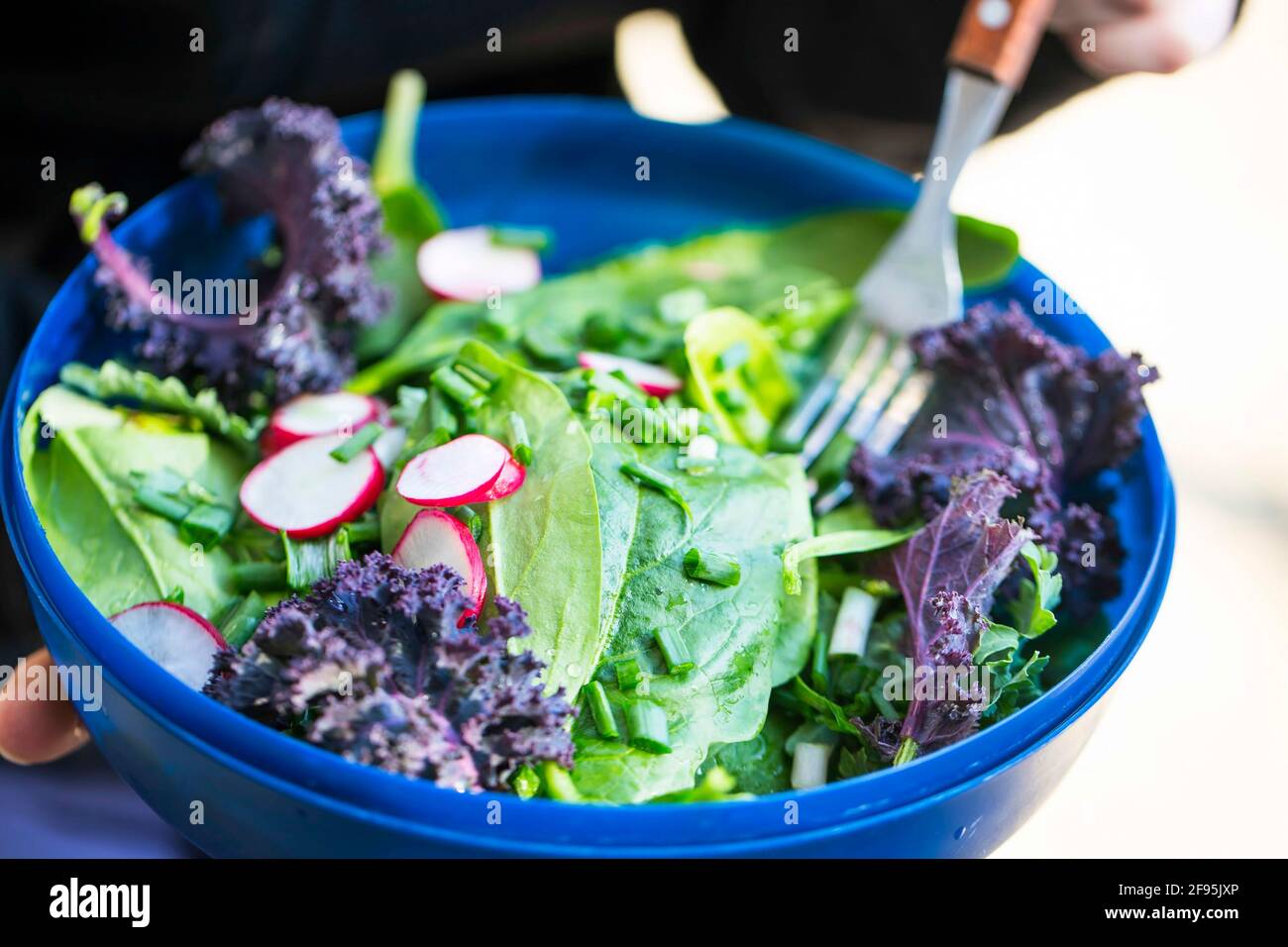 Saubere Ernährung, vegane gesunde Salatschüssel, gesunde Ernährung auf pflanzlicher Basis mit Salat, Grünkohl, grünen Zwiebeln, Rettich und Spinat Stockfoto