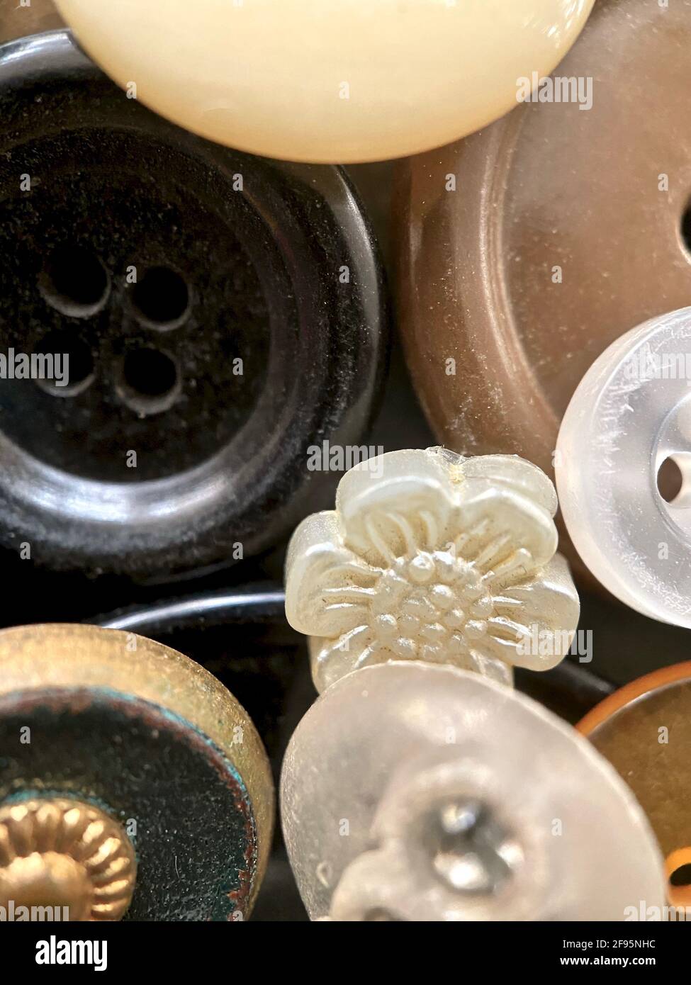 Antik- oder Vintage-Nähknöpfe: Zelluloid-Knöpfe, Bakelit-Knöpfe, Lucite-Knöpfe, Gemüse-Elfenbein, Metall, China, Glas und Perlmutt. Stockfoto
