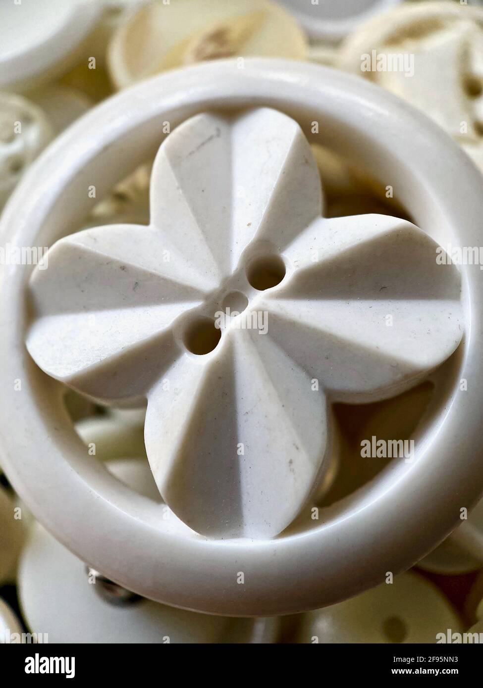 Nahaufnahme oder Makroaufnahme einer großen, weißen Bakelit- oder Zelluloidtaste mit einem Hintergrund anderer weißer Tasten. Runder Knopf, zwei Löcher und Blume Stockfoto