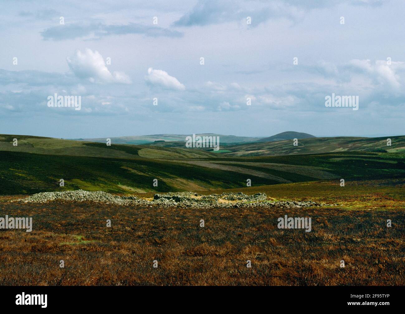 Seitenansicht südwestlich der Mutiny Stones (Mitten o'Stanes) Neolithische lange Cairn ausgerichtet ENE-WSW in den Lammermuir Hills, Scottish Borders, UK. Stockfoto