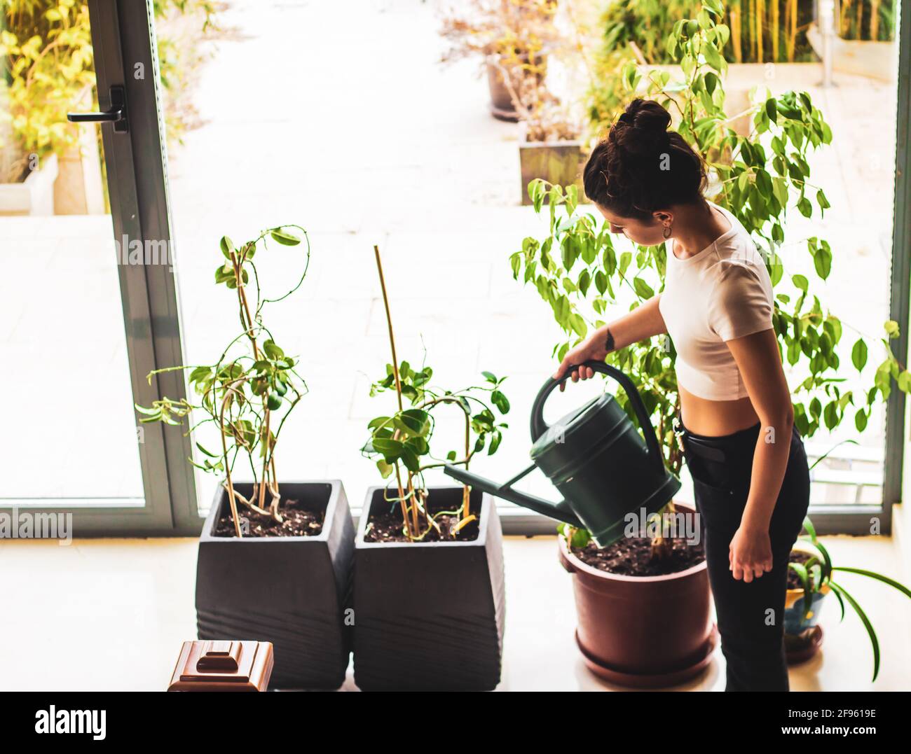 Junge Frau wässern Pflanzen zu Hause Stockfoto