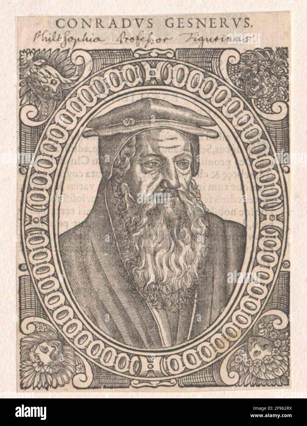 Geste, Konrad 1551/1650 Stockfoto