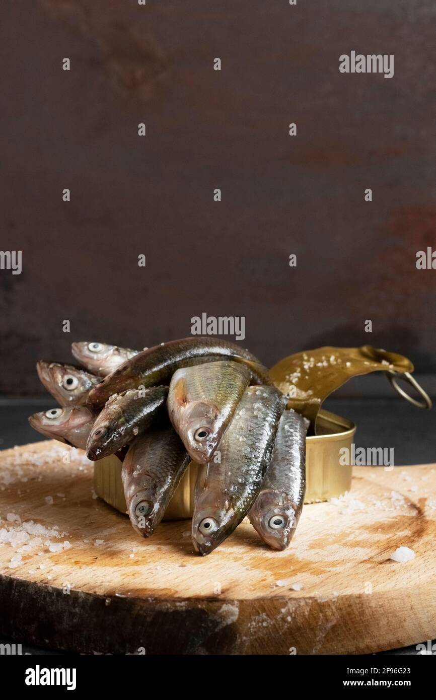 Frischer Fisch aus der Dose, gesunde Lebensmittel Stockfoto