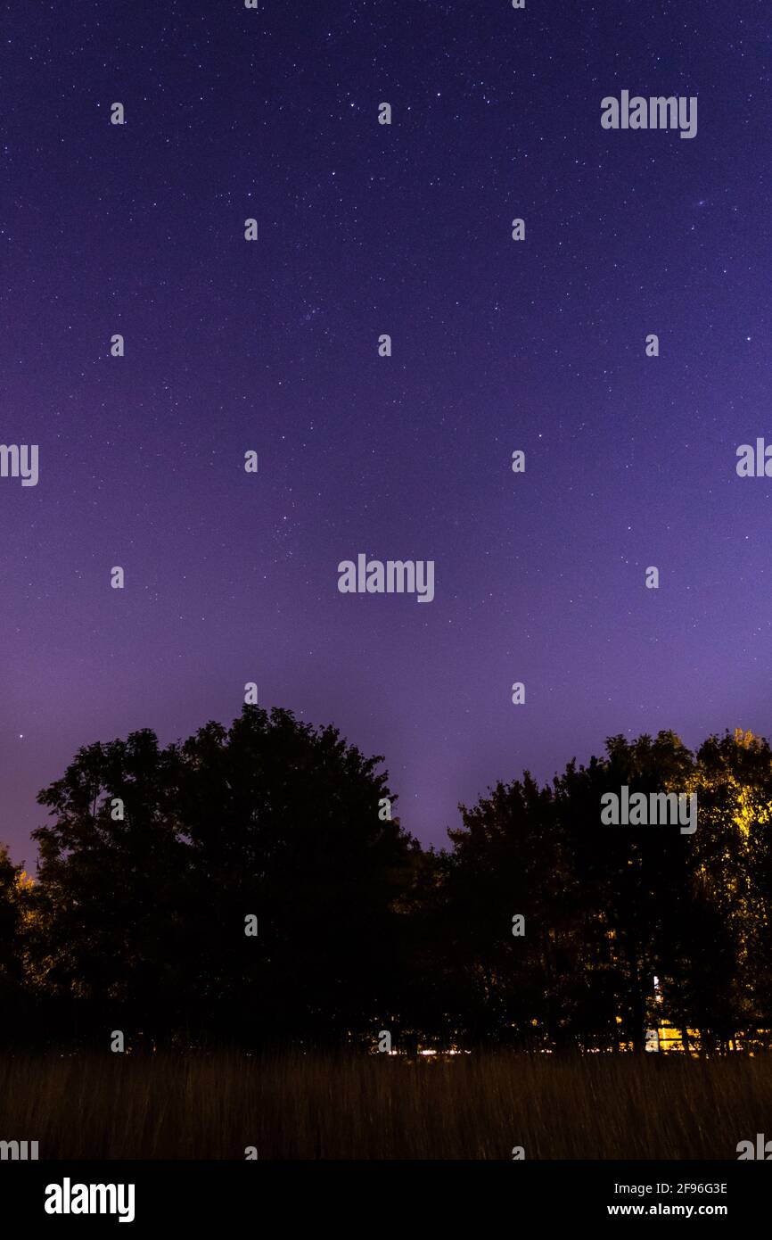 Der sternenklare violette Himmel im englischen Park Stockfoto