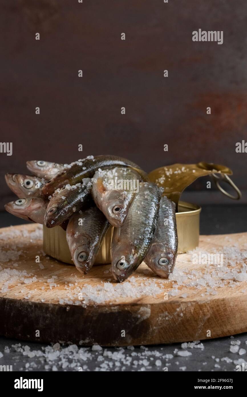 Frischer Fisch aus der Dose, gesunde Lebensmittel Stockfoto