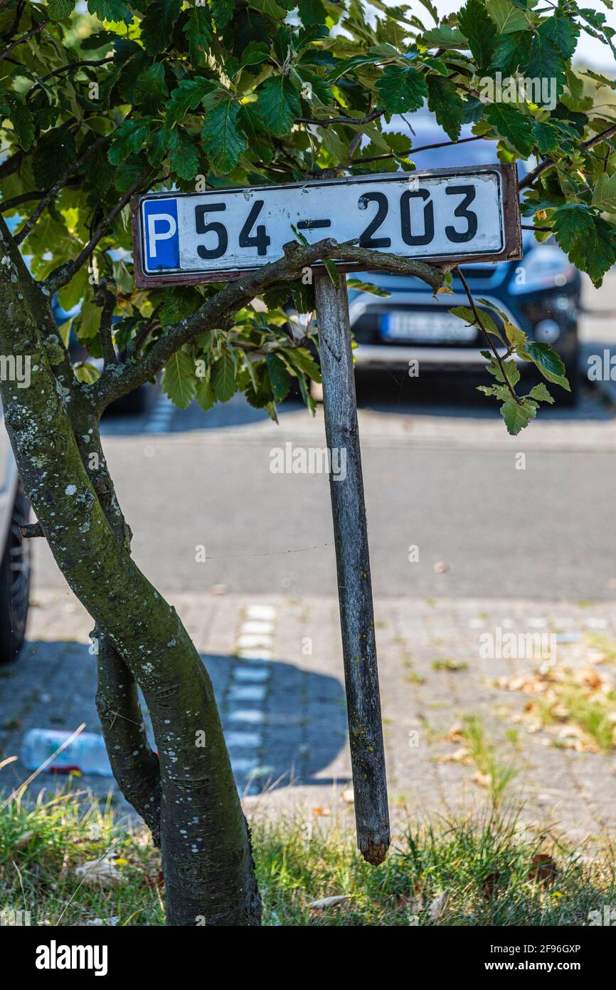 Kfz-Kennzeichen hängt an einer Zweigstelle, Parkplatz Stockfotografie -  Alamy