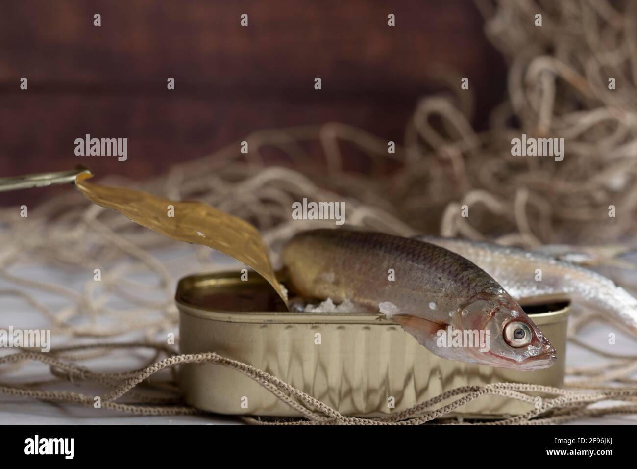 Frischer Fisch aus der Dose, gesunde Lebensmittel Stockfoto