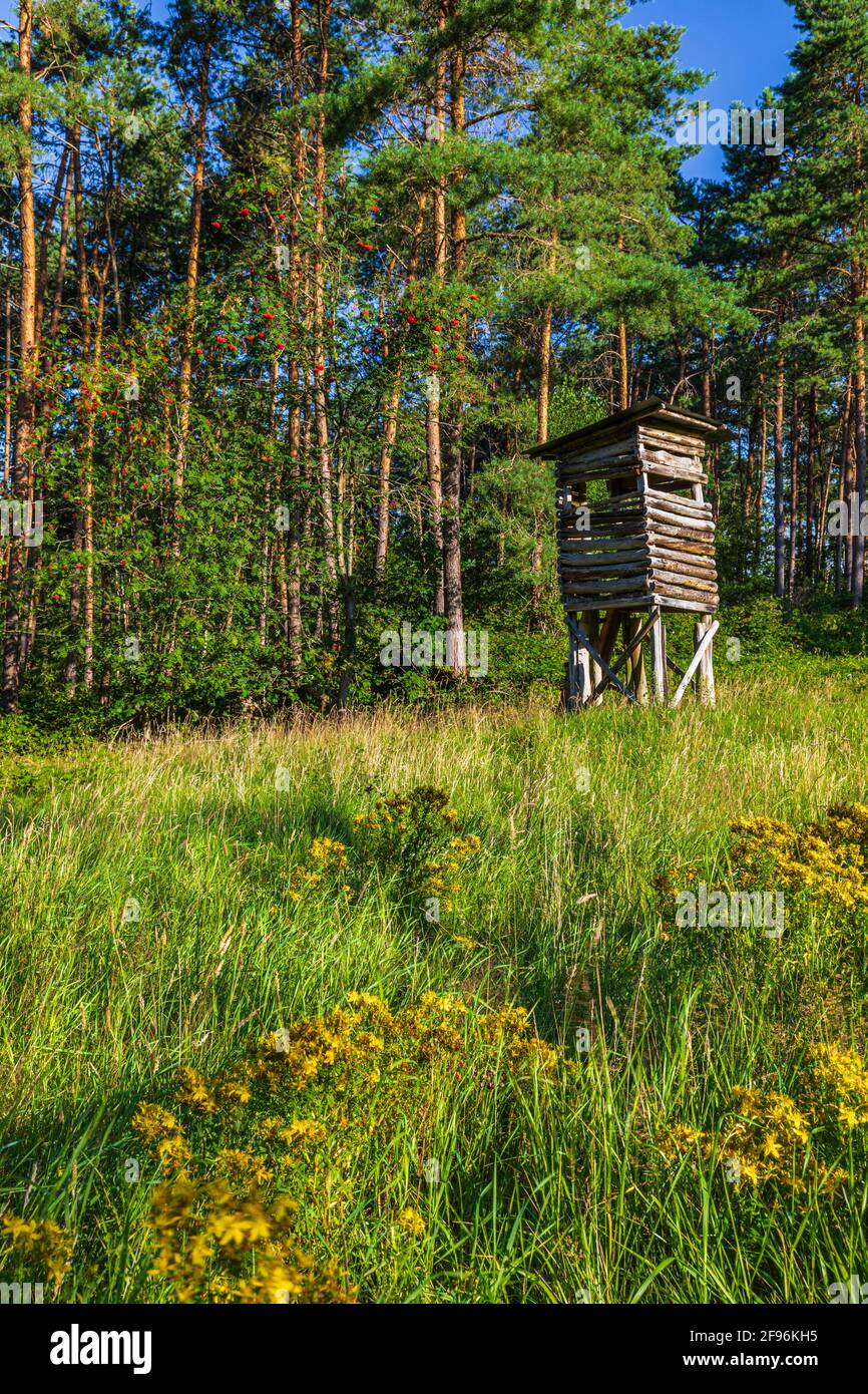 Hoher Sitz, Jägerstand Stockfoto