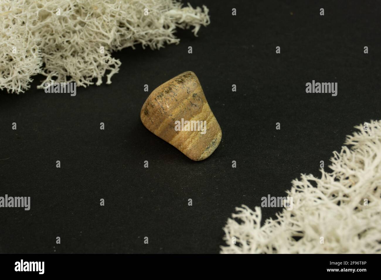 Bild brauner Jaspis aus Südafrika RSA. Natürlicher Mineralstein auf einem schwarzen, von Moos umgebenen Stein. Mineralogie, Geologie, Magie, semi-kostbar Stockfoto