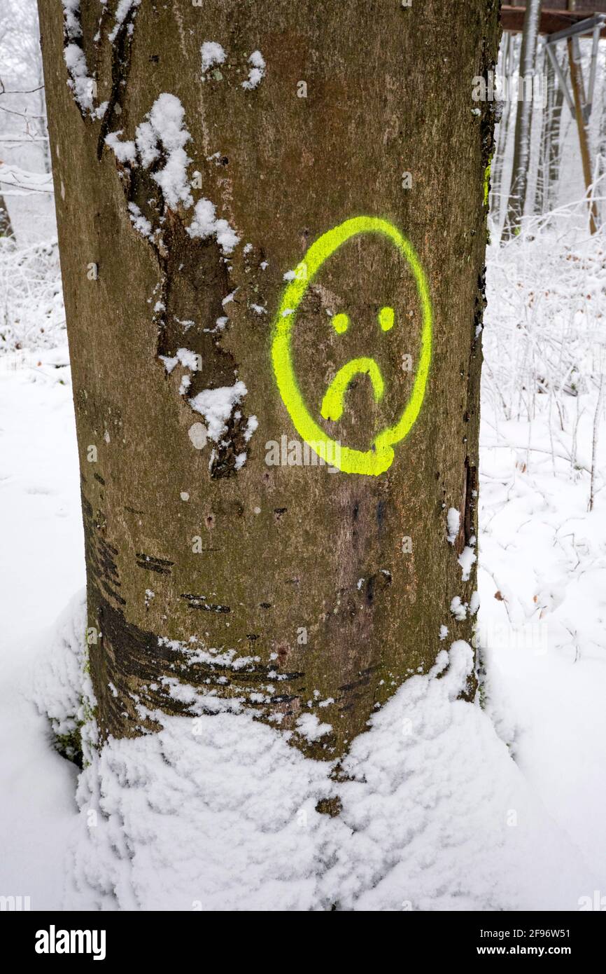 Trauriges Smiley auf Baumstamm, Mettlach-Orscholz, Naturpark Saar-Hunsrück, Saarland, Deutschland Stockfoto