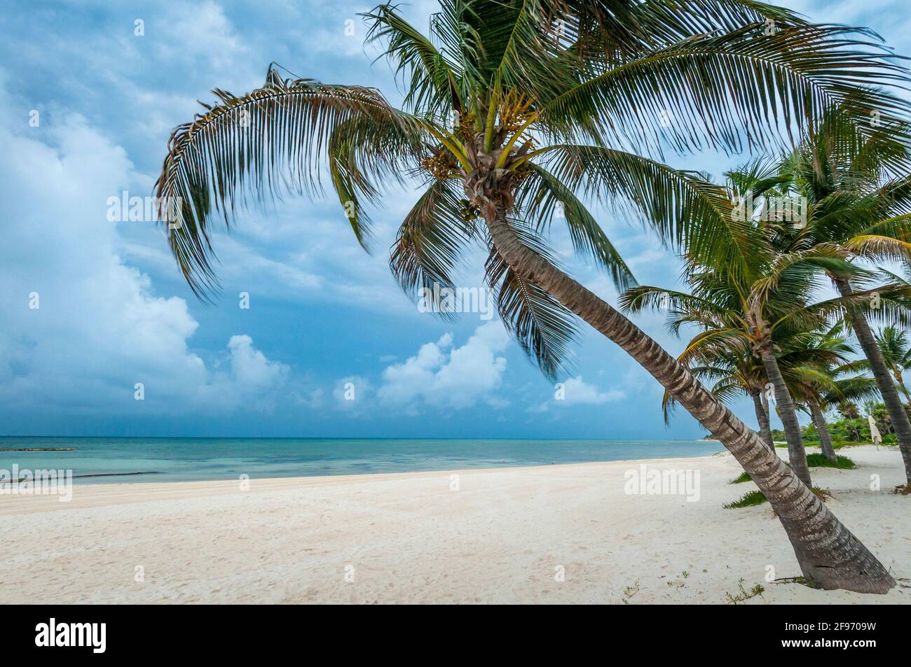 Palmen und stürmische Morgendämmerung am Strand im Grand Velas Resort and Spa, Riviera Maya, Mexiko. Stockfoto