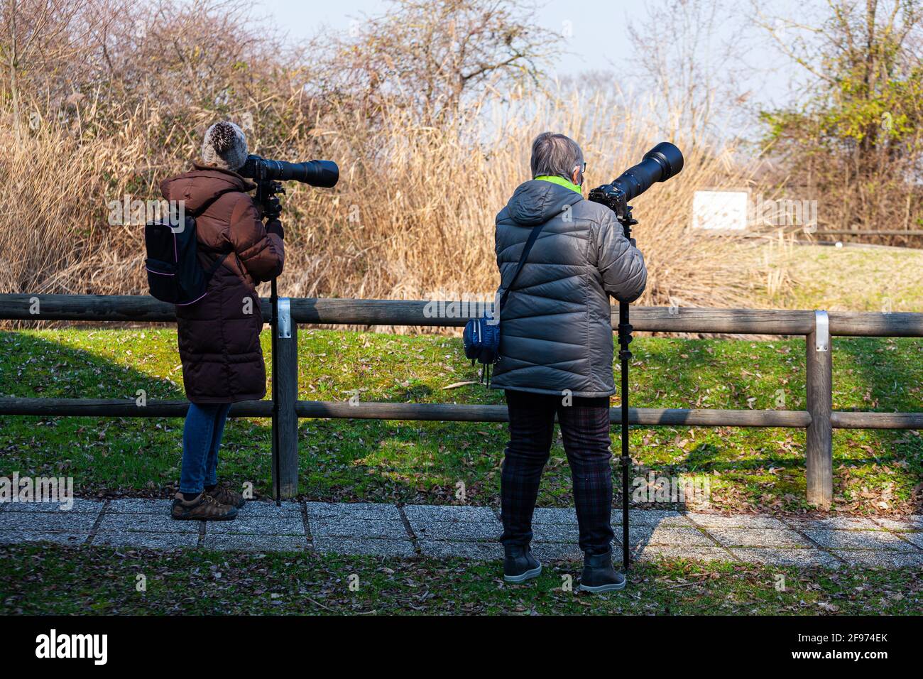 Ein paar Vogelfotografen machen Fotos mit Kamera und Teleaufnahme, Laguna di Marano Stockfoto