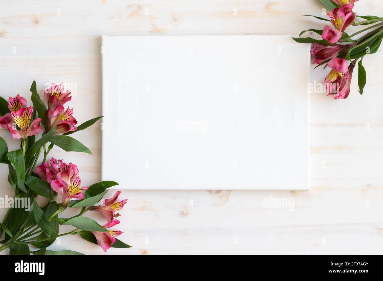 Frische Alstroemeria-Blumen als Rahmen um weiße Leinwand Mit Kopierbereich auf weißem Holzhintergrund Stockfoto Frische Alstroemeria-Blumen als Rahmen um weiße Leinwand Mit Kopierbereich auf weißem Holzhintergrund Stockfoto