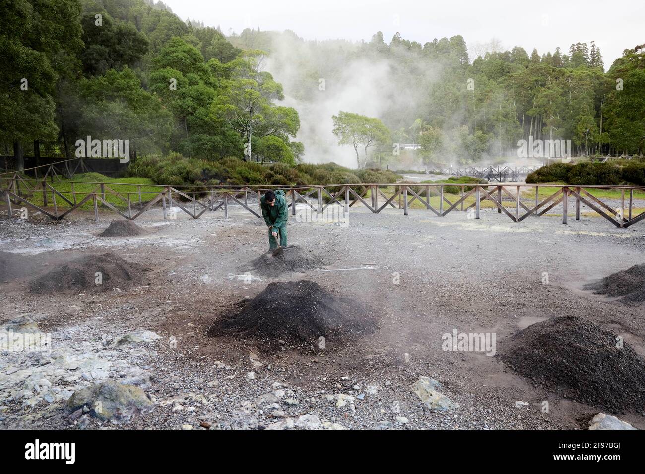 Ein Mann, der ein Loch in Fumarolis da Lagoa das Furnas für Cozido das Furnas auf der Insel Sao Miguel auf den Azoren, Portugal, grub Stockfoto