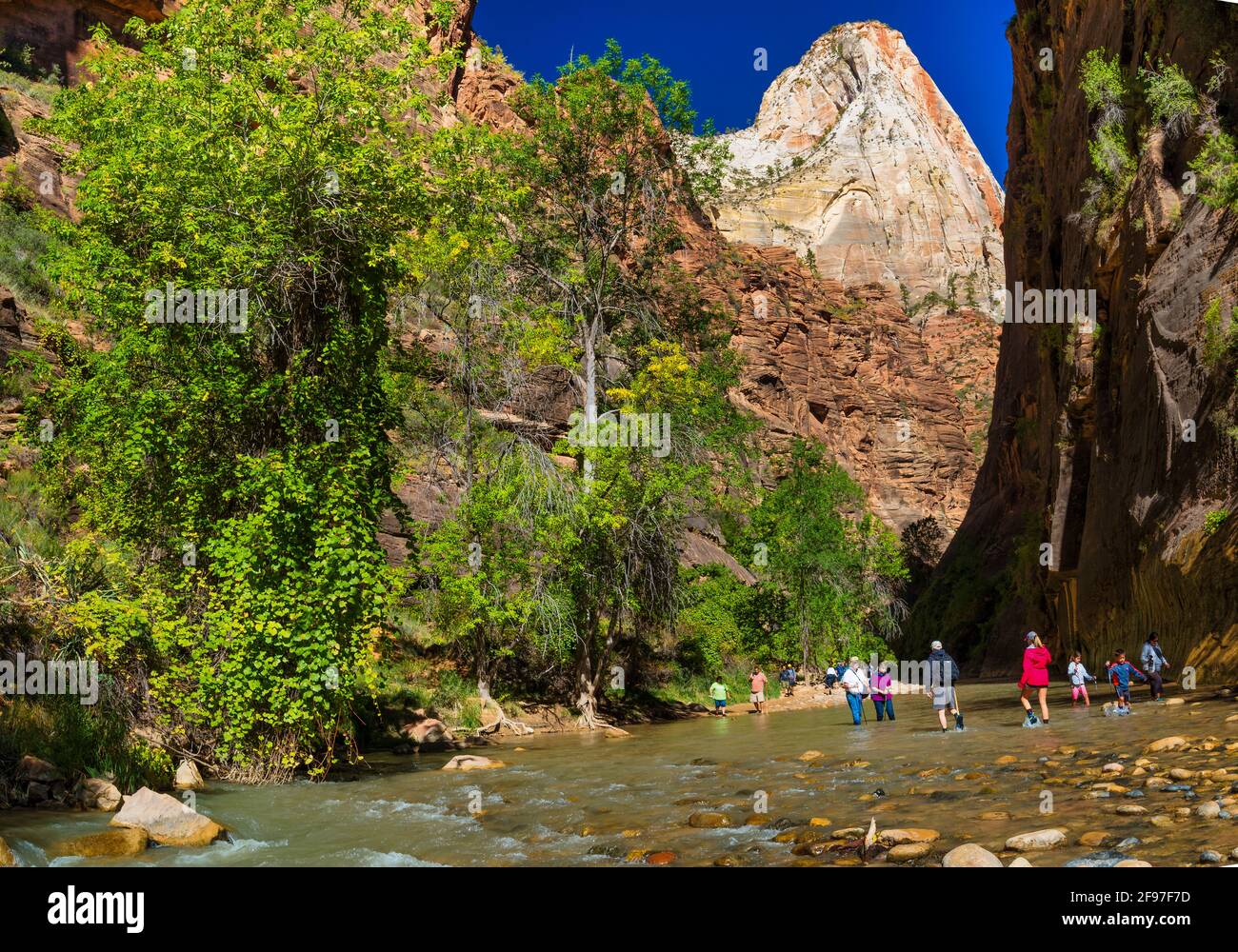 USA, Utah, Washington County, Springdale, Zion National Park, Virgin River Stockfoto