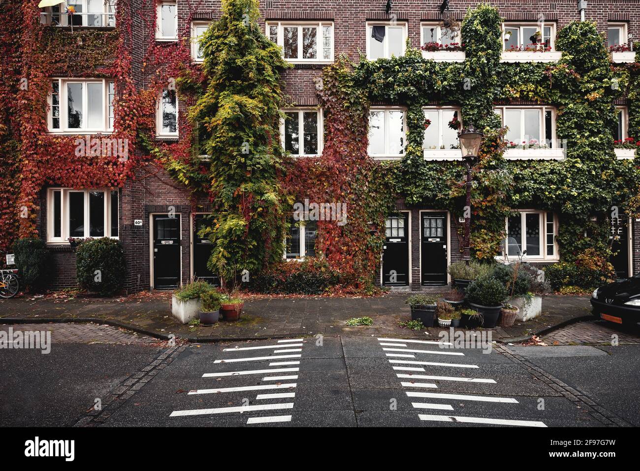 Grüne Hausfassade in Amsterdam Stockfoto