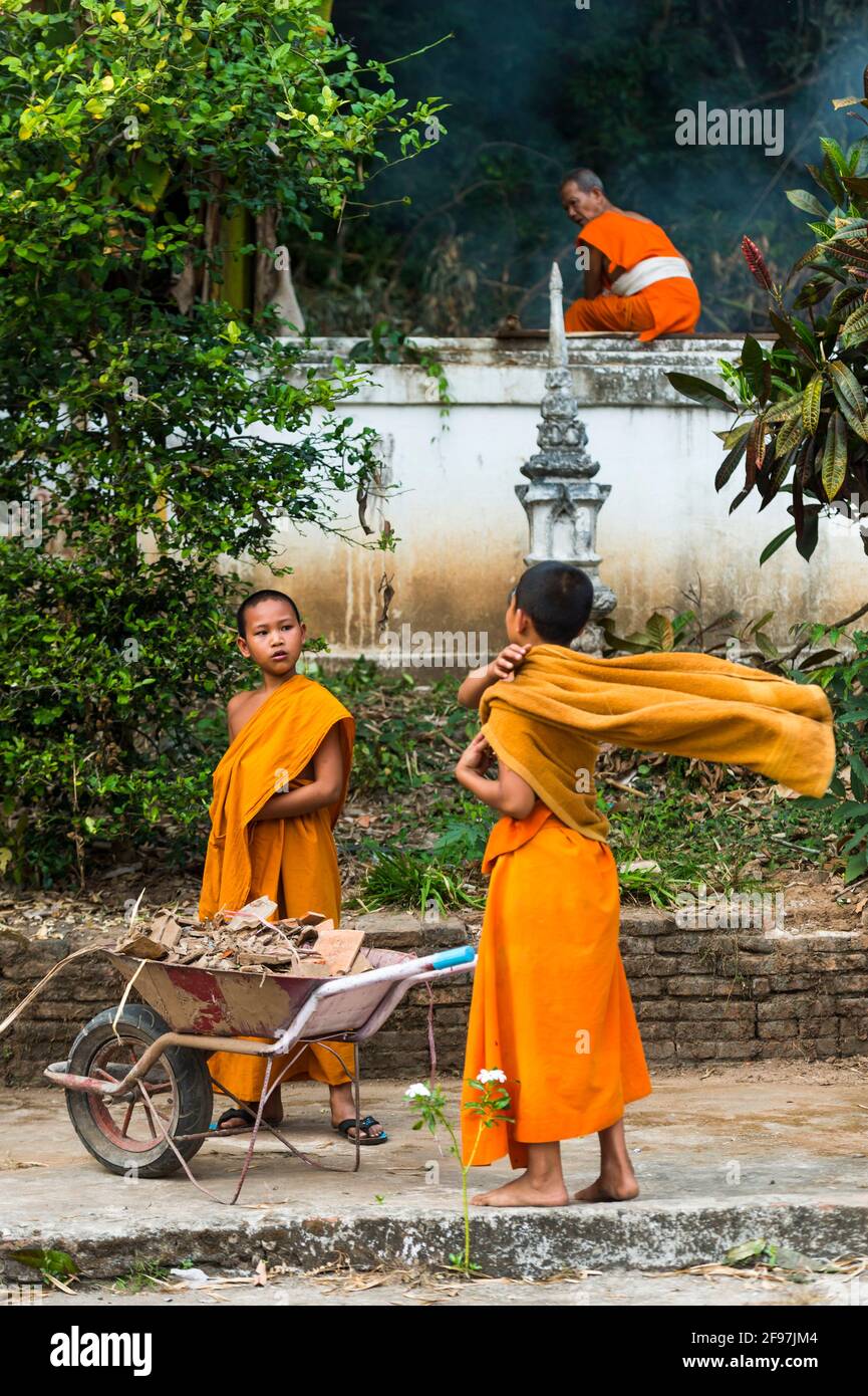 Laos, Luang Prabang, der VAT Xieng Mene Saiyasettharam Tempel, junge Mönche, Schubkarre Stockfoto