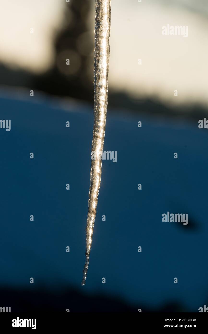 Winter, Wetter, Bayern, Oberbayern, Eiszapfen Stockfoto