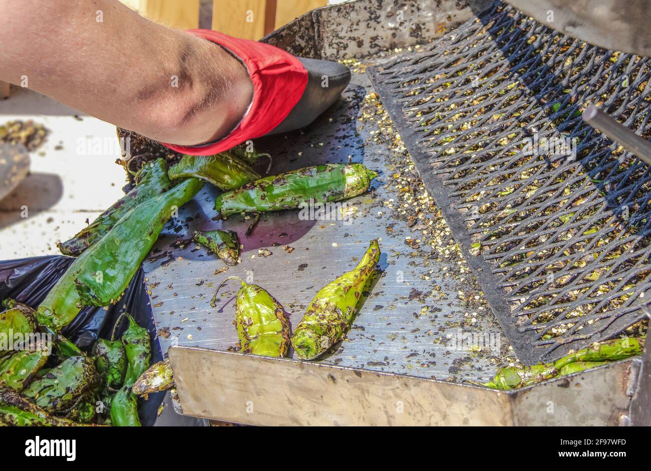 Arbeiter mit Handschuhen streichen geröstete Paprika aus Röster in einer schwarzen Plastiktüte für Kunden mit Samen und geschwärzte Stücke unde Stockfoto