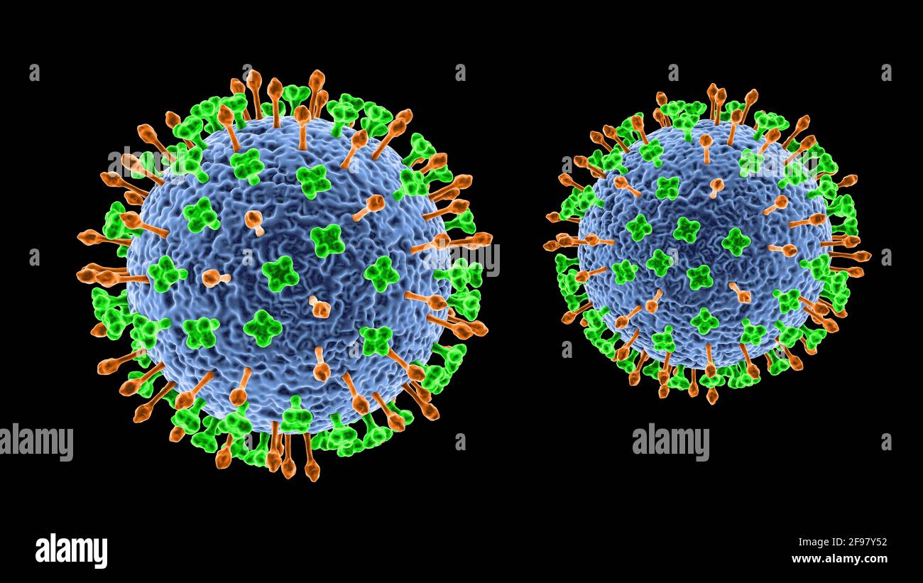 Nipah-Viruspartikel, Illustration Stockfoto