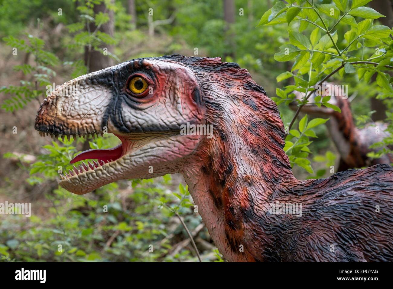 Dinosaurier Deinonychus (ähnlich dem Velociraptor) als Modell im Dinopark Münchehagen bei Hannover. Lebte in Nordamerika vor etwa 125 Millionen Jahren (Kreidezeit), war etwa 3.5 m lang und wog nur 50 kg. Stockfoto