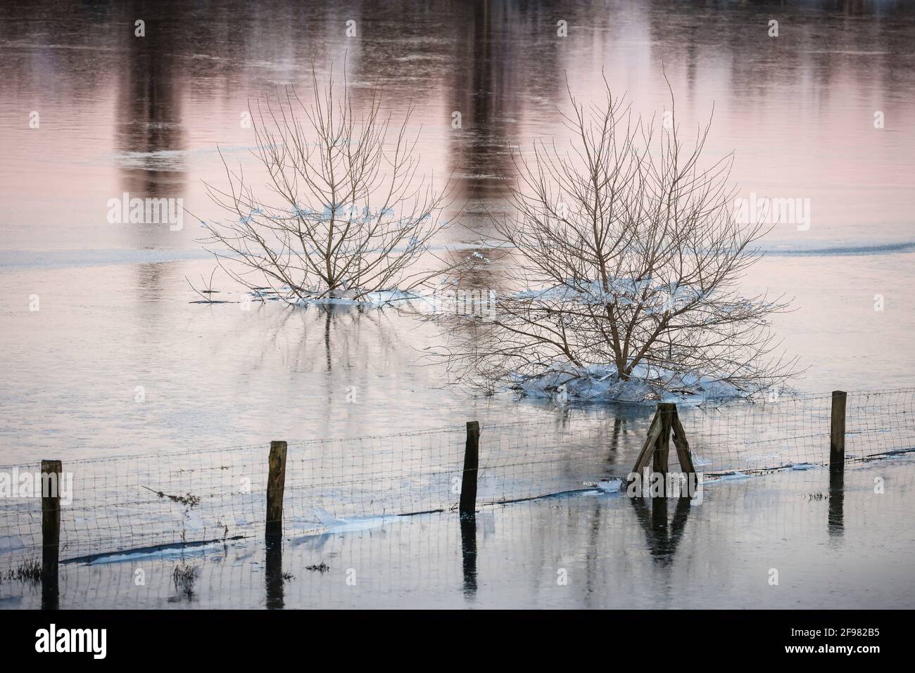 Wesel, Nordrhein-Westfalen, Deutschland - sonnige Winterlandschaft im Ruhrgebiet, Eis und Schnee auf der Lippe, Lippeauen, Bäume im Hochwassereis eingeschlossen. Stockfoto