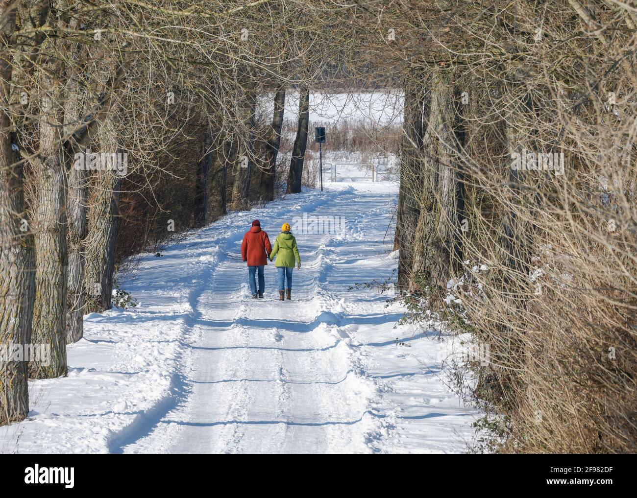Hamm, Nordrhein-Westfalen, Deutschland - sonnige Winterlandschaft im Ruhrgebiet, Eis und Schnee auf der Lippe machen Wanderer einen Spaziergang auf einem Pfad am Flussufer. Stockfoto