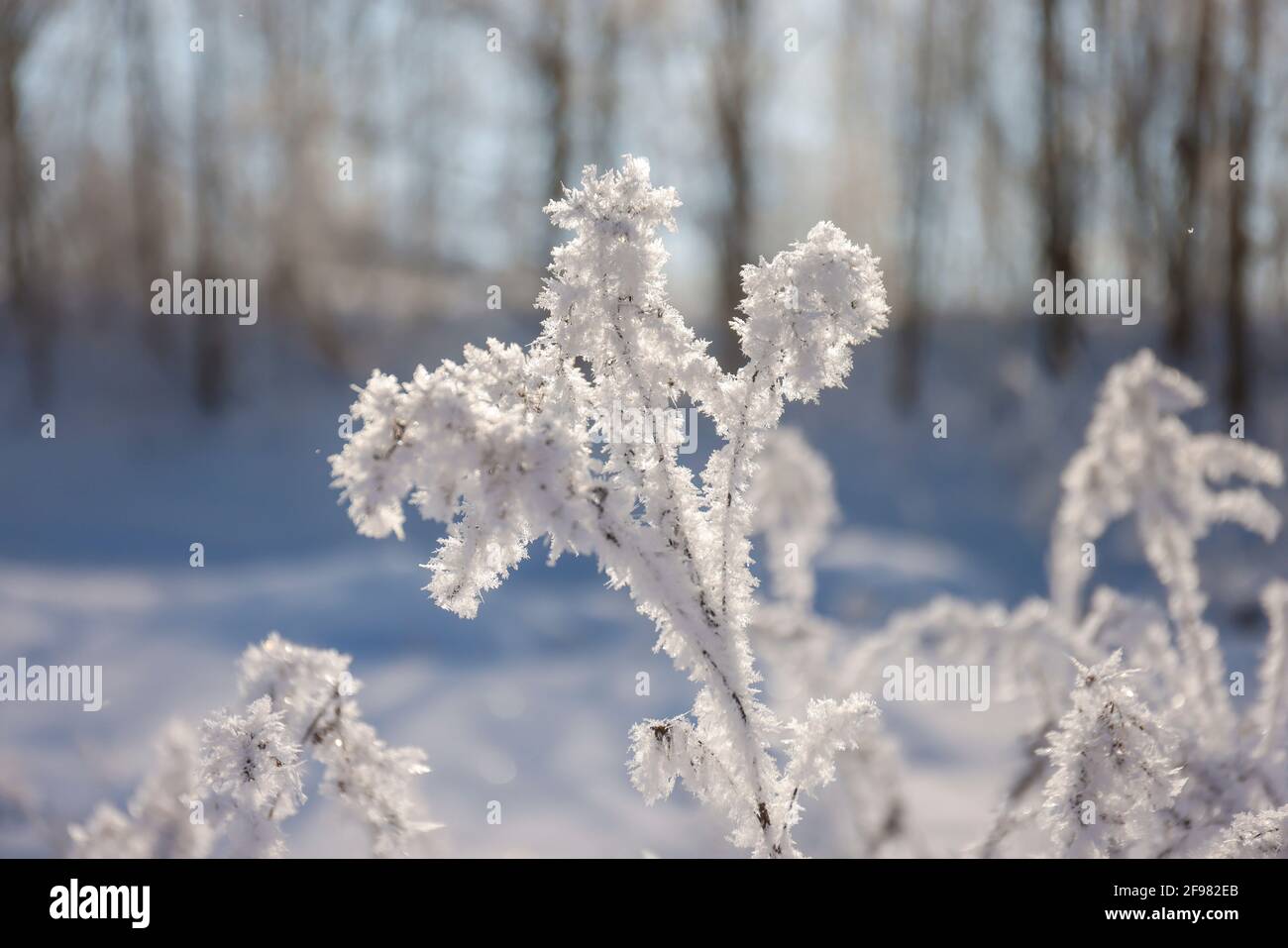 Hamm, Nordrhein-Westfalen, Deutschland - sonnige Winterlandschaft im Ruhrgebiet, Eis und Schnee auf der Lippe. Stockfoto