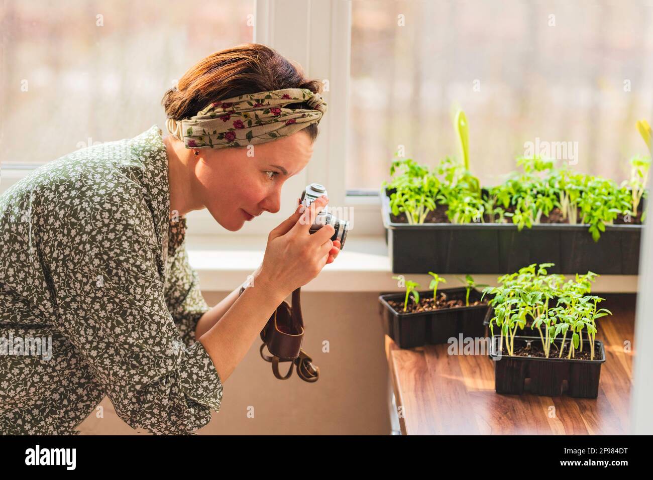 Eine Frau fotografiert mit einer Retro-Kamera die Pflanzen, die sie für ihren Blog in ihrem Garten angebaut hat. Stockfoto