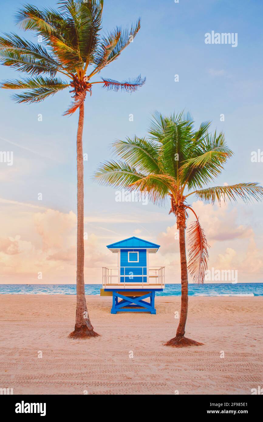 Tropische Florida Landschaft mit Palmen und blauem Rettungsschwimmerhaus. Stockfoto