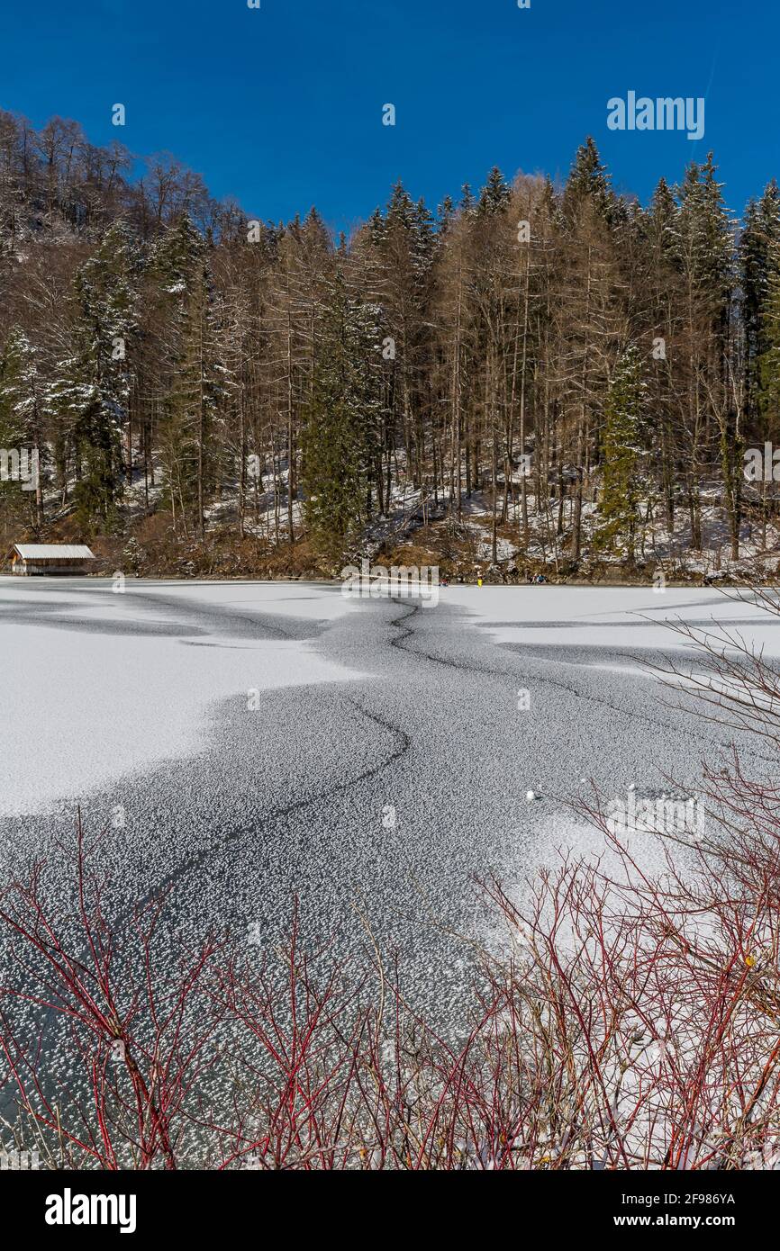 Gefrorener Alpsee im Winter, Schwangau, Füssen, Allgäuer Alpen, Allgäu, Bayern, Deutschland, Europa Stockfoto