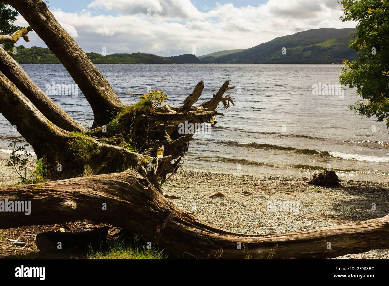 Die Scottish Lochs bei Sonnenaufgang Stockfoto