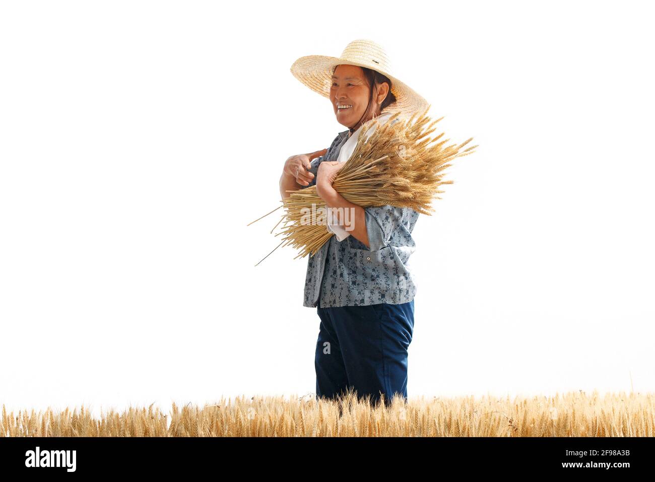 Im Fänger in der Arbeit der Bauern Stockfoto