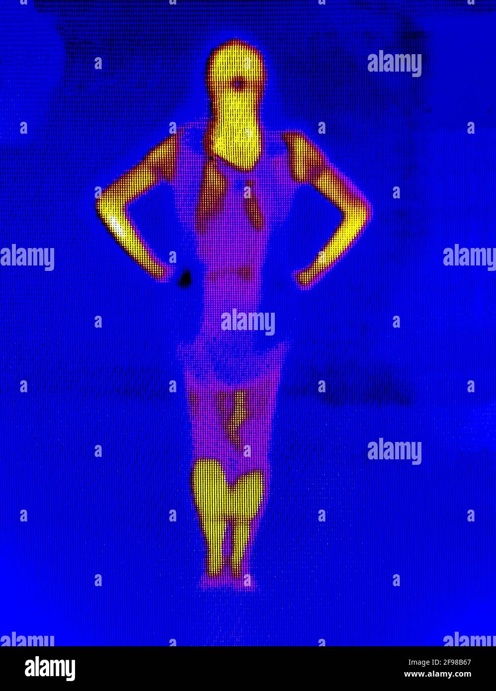 Thermografische Darstellung des menschlichen Körpers bei unterschiedlichen Temperaturen Stockfoto