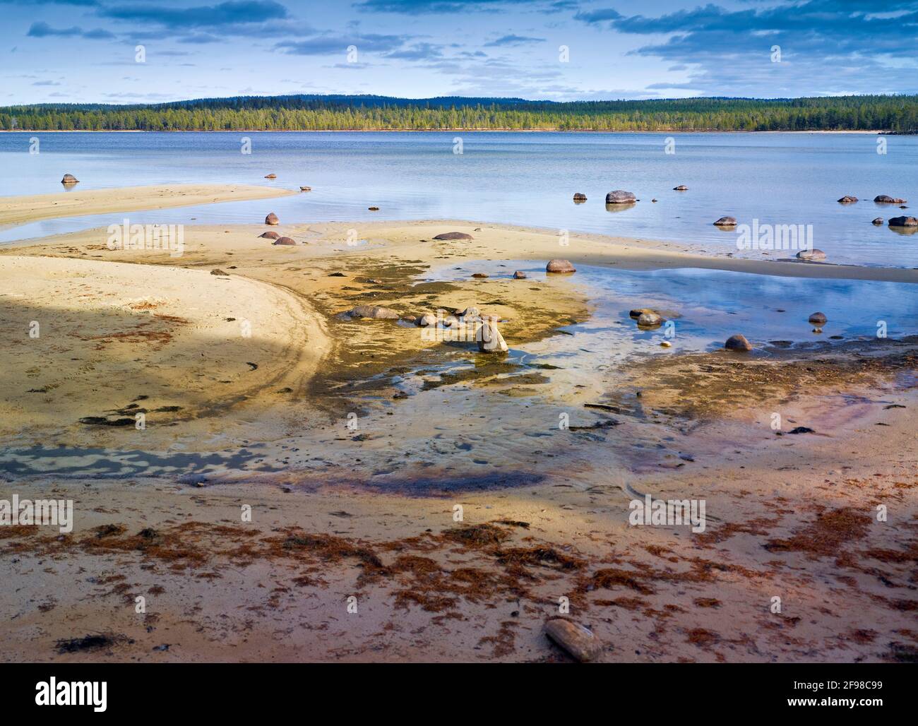 Europa, Norwegen, Hedmark, Femundsmarka-Nationalpark, Femund-See, Sandstrand mit Steinen Stockfoto