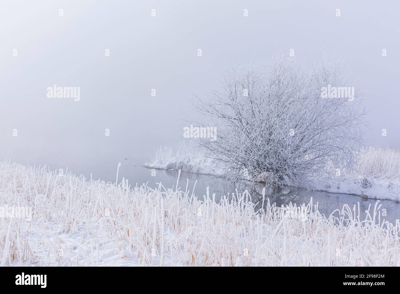 Ein magischer Wintermorgen in Schlehdorf am Kochelsee, Bayern, mit Frost, Sonnenschein, Nebel und frisch gefallener Schneedecke. Stockfoto