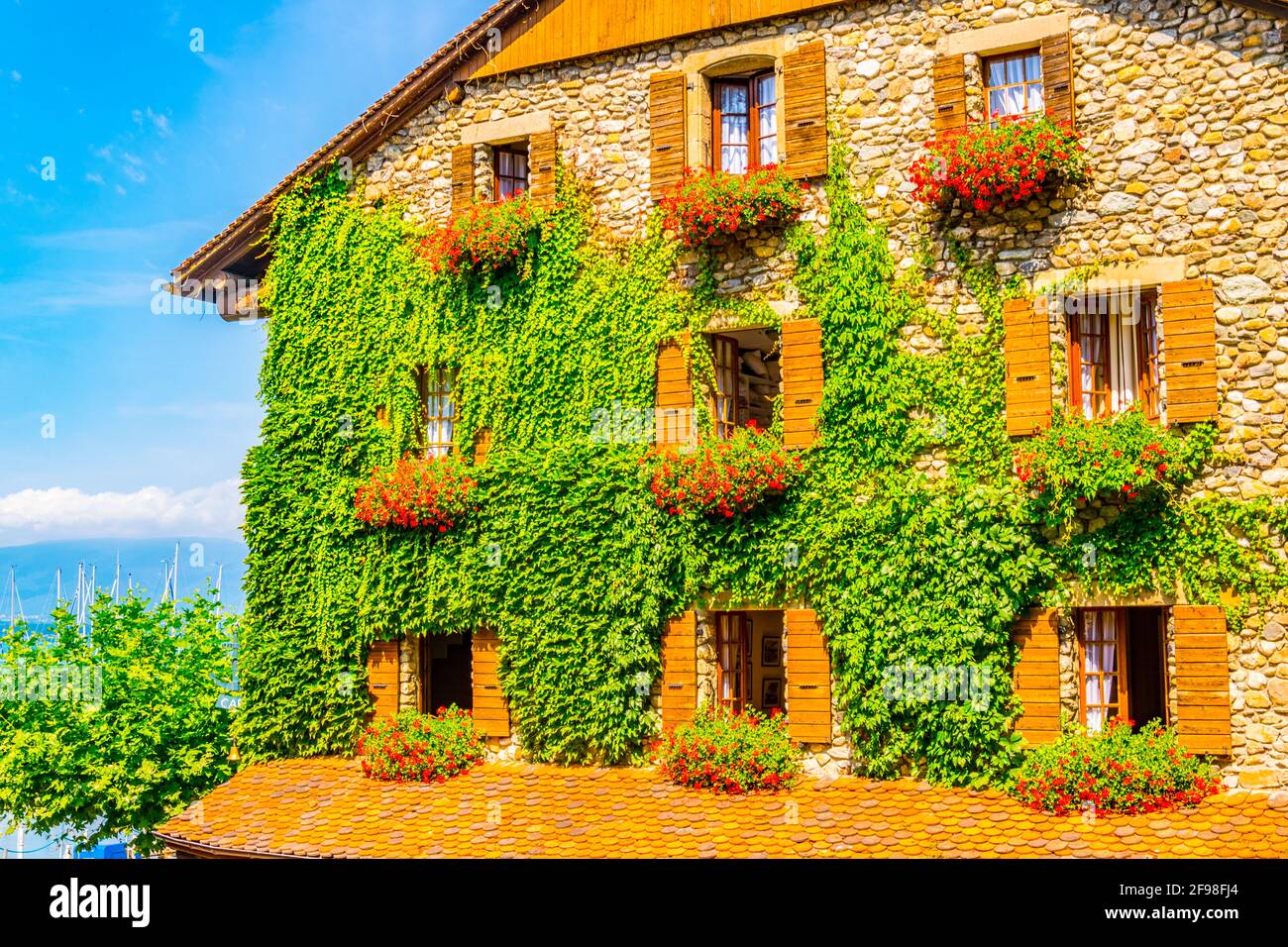 Traditionelle Häuser in Yvoire mit Efeu bedeckt, Frankreich Stockfoto