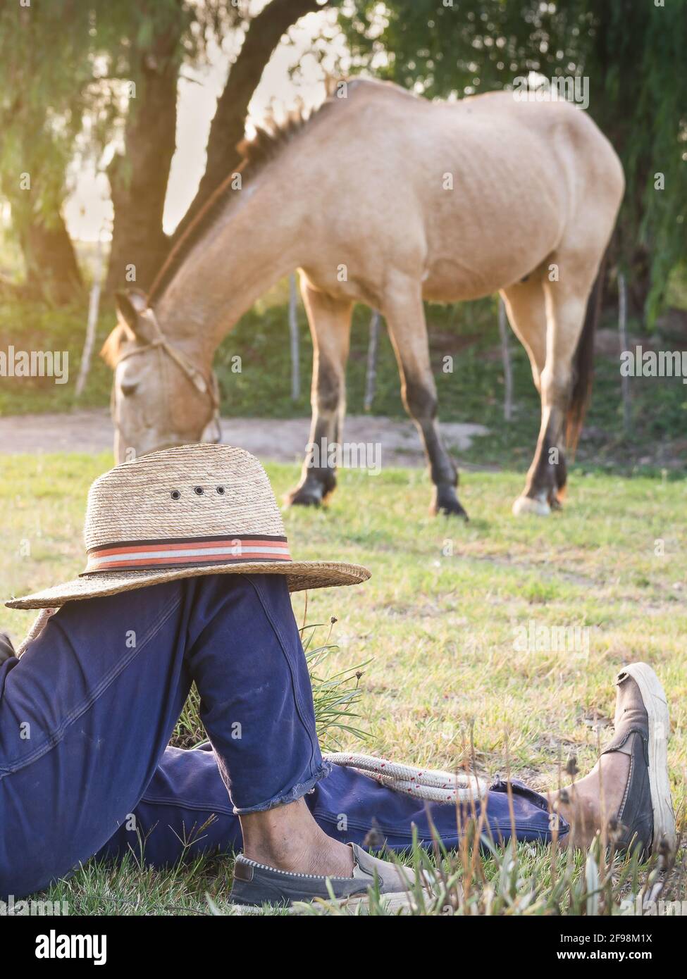 Argentinischer Cowboy, der sich während der Pflege auf dem Grasfeld ausruht Des Pferdes Stockfoto