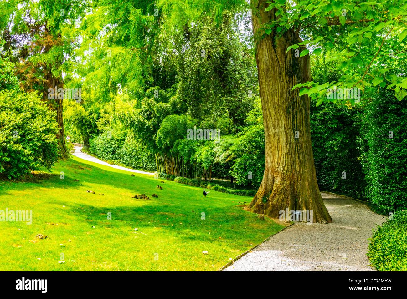 Villa borromeo botanischer garten Stockfotos und bilder Kaufen Alamy