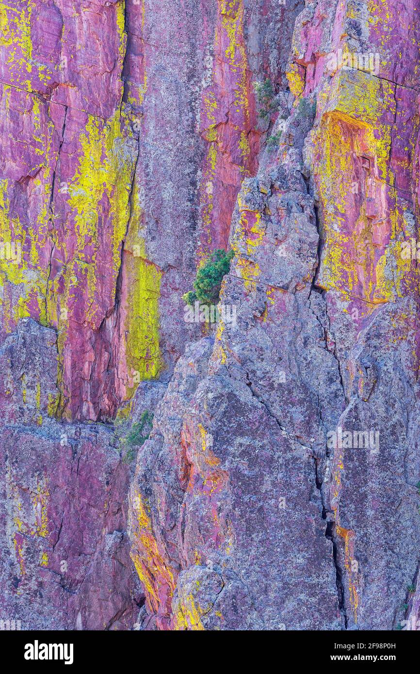 Bunte Canyon Wand, Coconino National Forest, Arizona, USA, Nordamerika Stockfoto