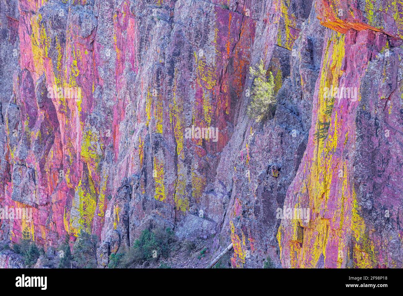 Bunte Canyon Wand, Coconino National Forest, Arizona, USA, Nordamerika Stockfoto