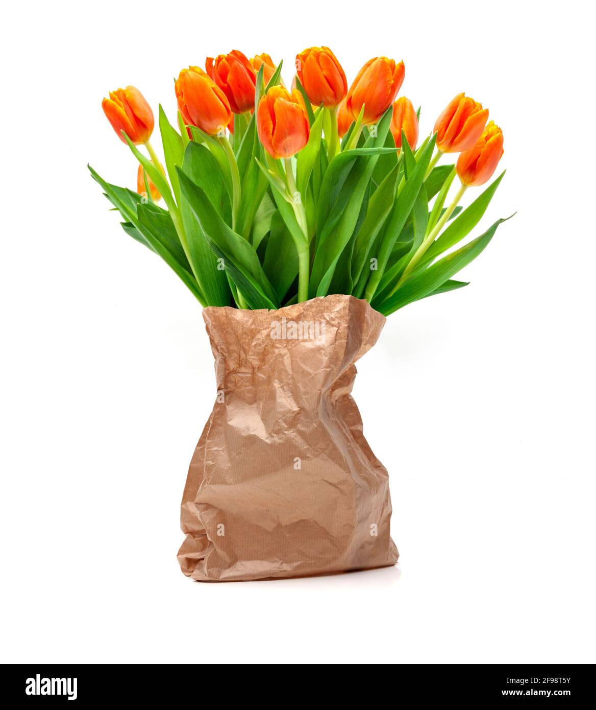 Bouquet von roten Tulpen auf weißem Hintergrund Stockfoto